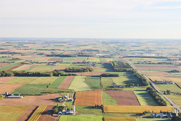 Farmers Field