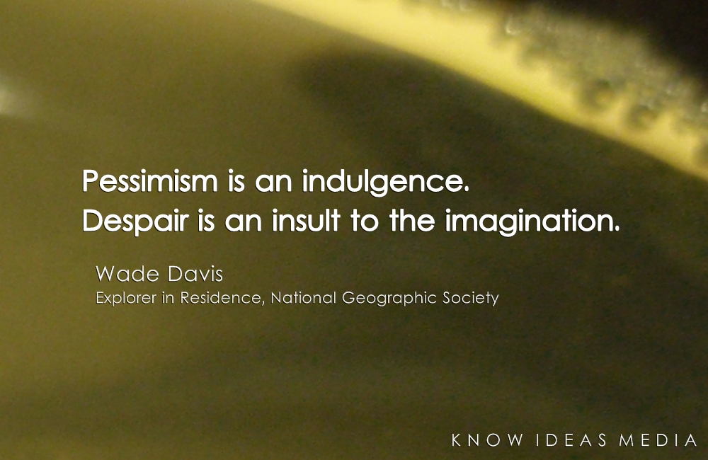 Pessimism is an indulgence. Despair is an insult to the imagination. Wade Davis.